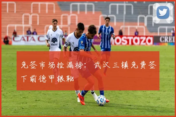 免签市场捡漏榜：武汉三镇免费签下前德甲银靴